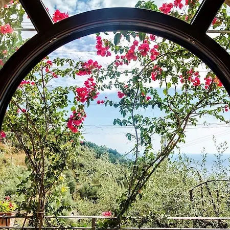 Simba Massa Lubrense