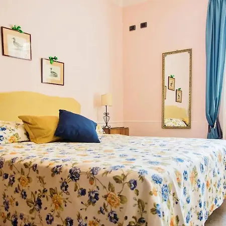 Simba Massa Lubrense