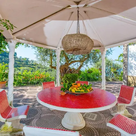 Simba * ماسّا لوبْرينسِ