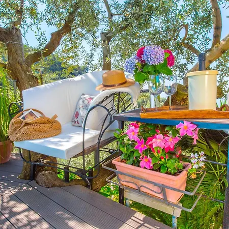 Simba * ماسّا لوبْرينسِ