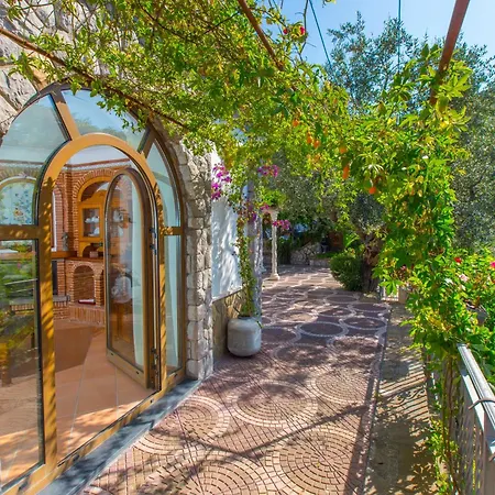 Simba * ماسّا لوبْرينسِ